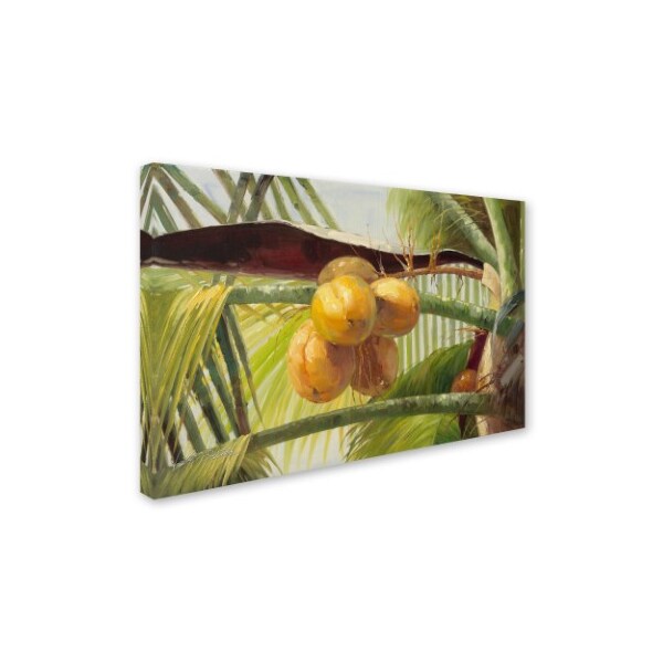 Victor Giton 'Coconut Palm I' Canvas Art,22x32